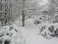 Snow, Blackheath P1070039